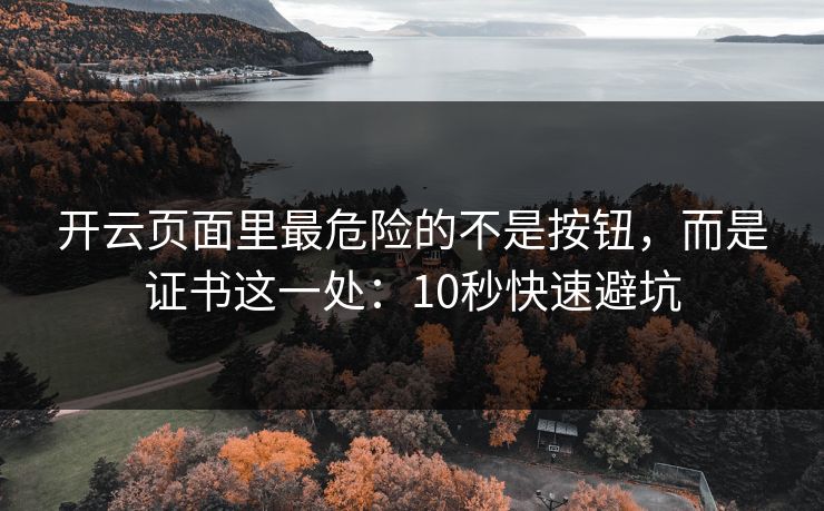 开云页面里最危险的不是按钮，而是证书这一处：10秒快速避坑