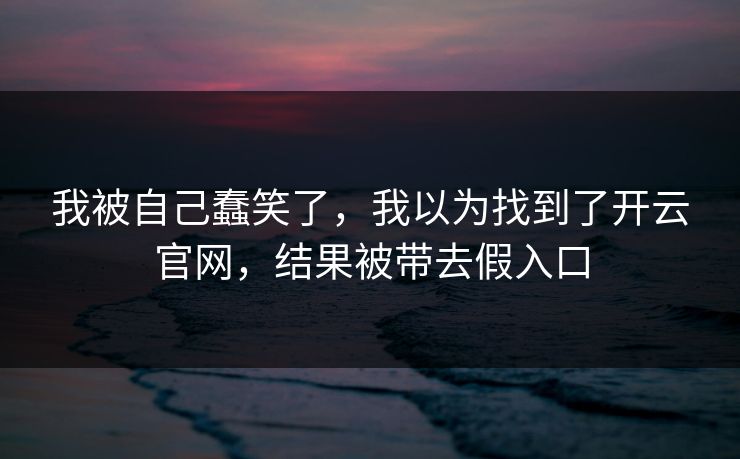 我被自己蠢笑了，我以为找到了开云官网，结果被带去假入口