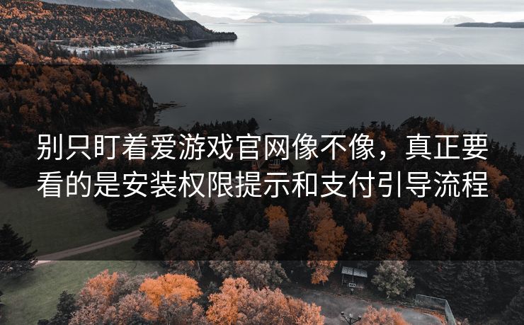 别只盯着爱游戏官网像不像，真正要看的是安装权限提示和支付引导流程